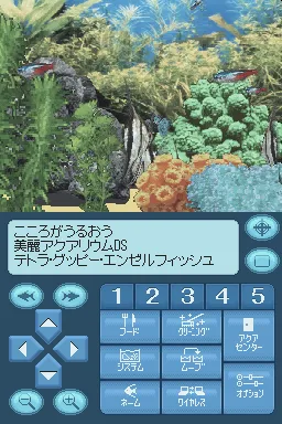 Snapshot